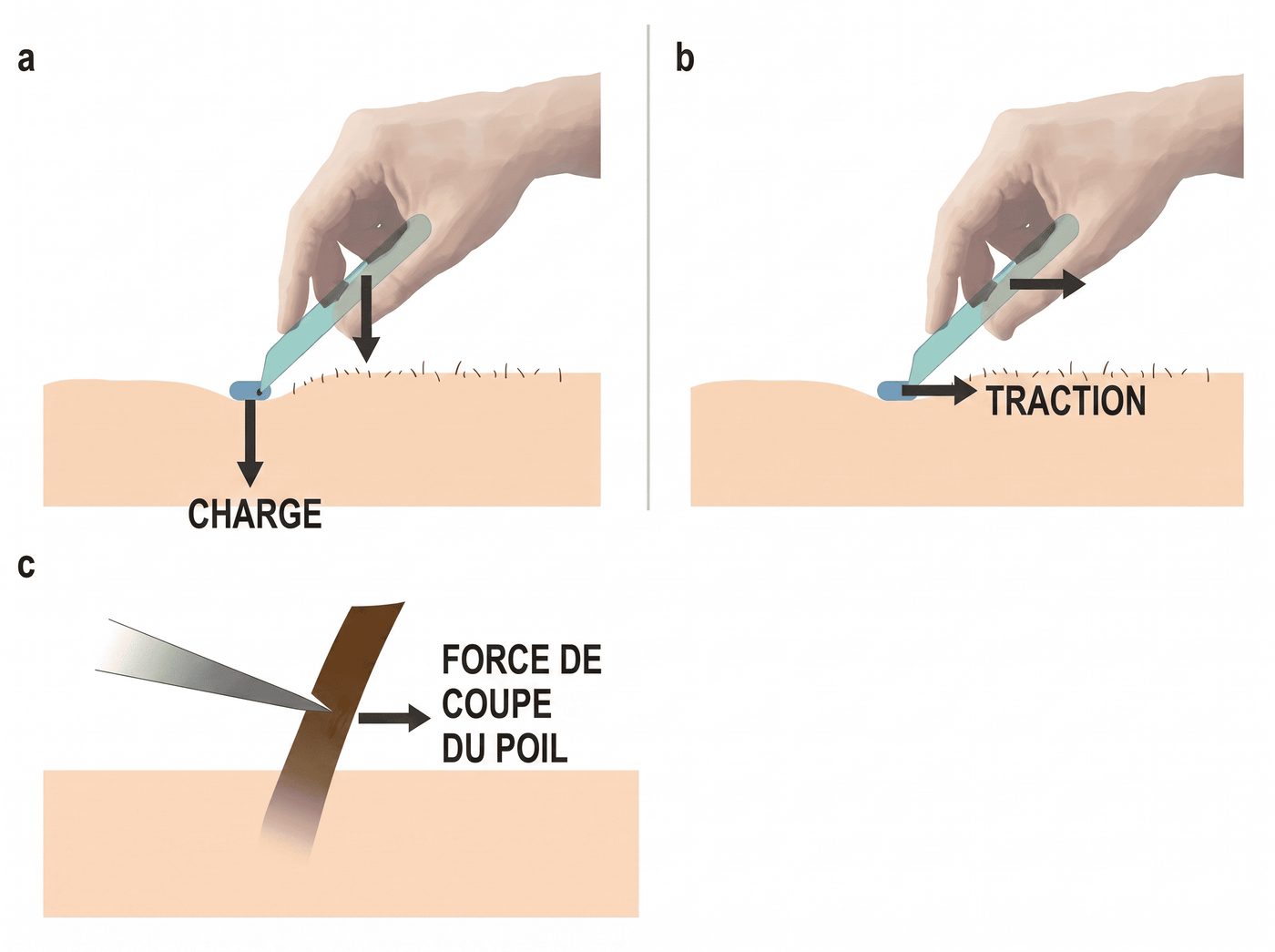 Schéma : mécanisme lift and cut contre lame unique